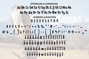Eagle Highland | Script Font, a Script Font by Scratchones (Thumbnail 7 of 9)