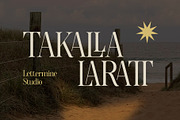 Gradine – Luxury Serif, a Serif Font by Lettermine (Thumbnail 3 of 10)