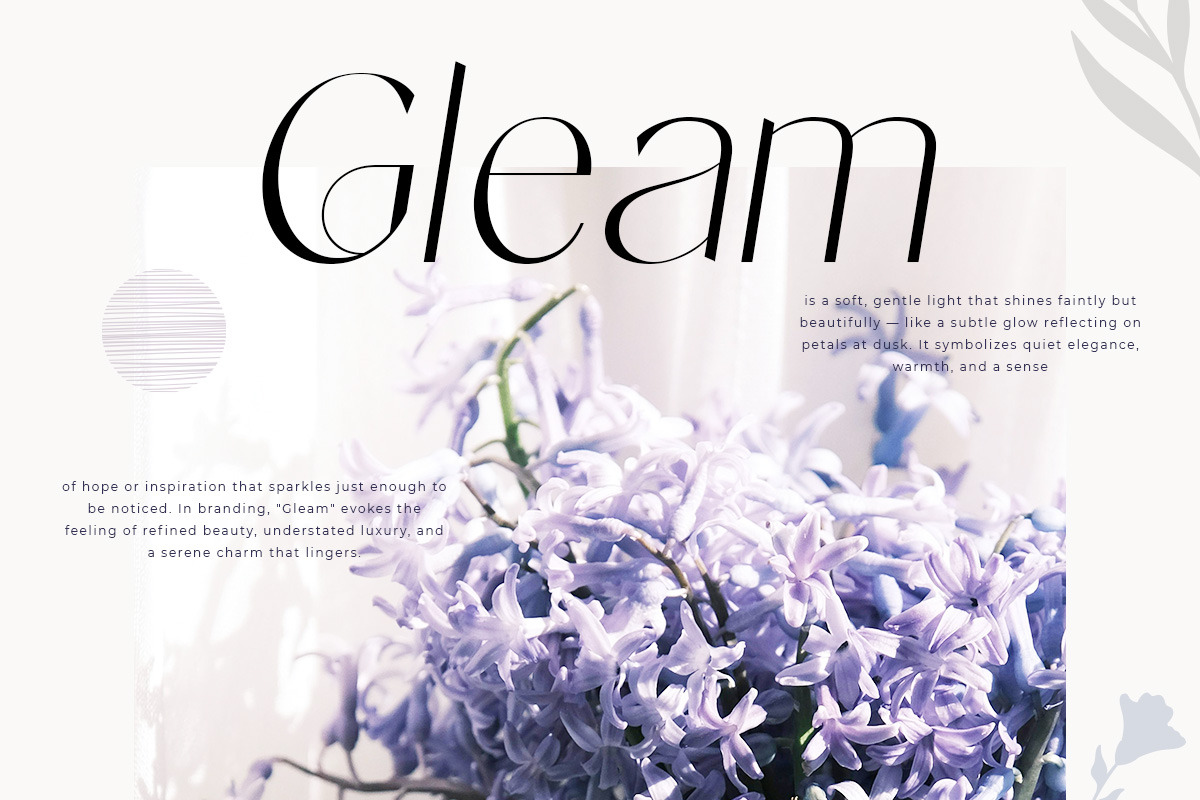 Moura - Modern Minimal Sans Serif, a Sans Serif Font by roomspace creative lab (Photo 10 of 11)