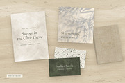 Sage & Stone Botanical Textures, a Texture Graphic by A Northern Type (Thumbnail 9 of 9)