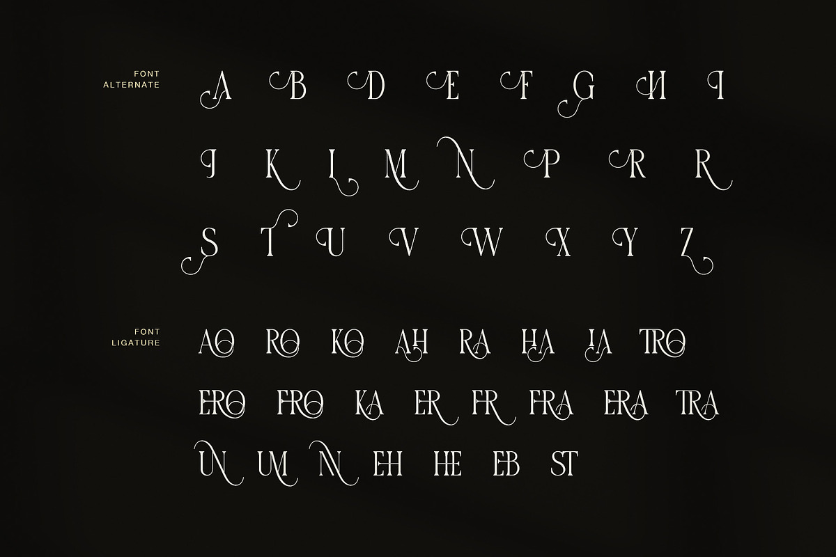 Ahira Brond Contrast Serif Font, a Serif Font by Graphicxell (Photo 8 of 8)