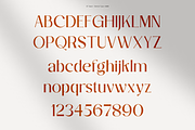 DT Garet – Luxury Serif Typeface, a Font by Diztinct Type (Thumbnail 3 of 12)