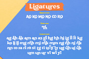 The Qostter Retro Serif, a Serif Font by alit design (Thumbnail 13 of 16)