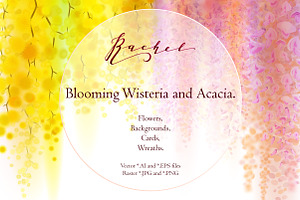 Rachel. Wisteria and Acacia 