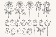 Rose Flower Line Art Illustration, a Decorative Illustration by Kusumaillustration (Thumbnail 4 of 11)