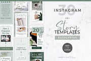 Instagram Stories for Canva | Green, a Social Media Template by Thirty One Palms Studio (Thumbnail 1 of 8)
