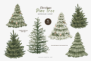 Watercolor Christmas Pine Tree Clipa, an Illustration by Balada Digital Art (Thumbnail 2 of 6)