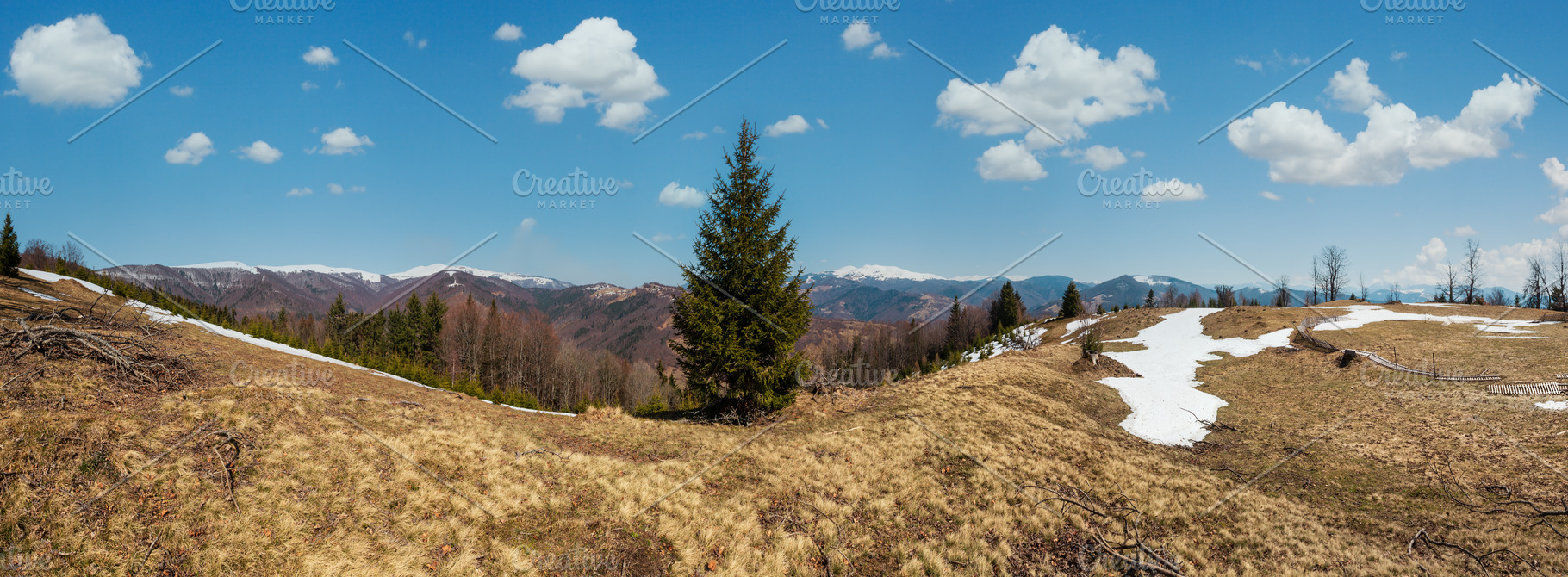 Early spring Carpathian mountains, a Nature Photo by YuriyB