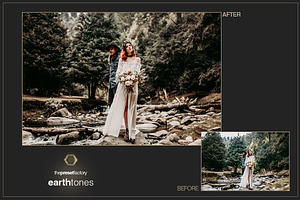 Earth Tones - PS ACR Presets