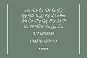 Fairwren, a Serif Font by Chelsea Burkett (Thumbnail 6 of 9)