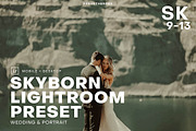 Skyborn High Quality Premium Lightro, a Plug-in Add-On by PresetHeroes (Thumbnail 1 of 5)