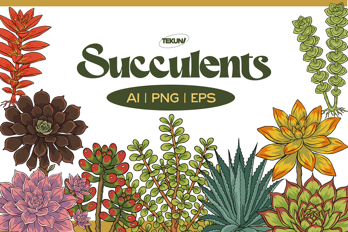 Succulent Illustration Pack, an Illustration by Tekuni (Photo 1 of 13)