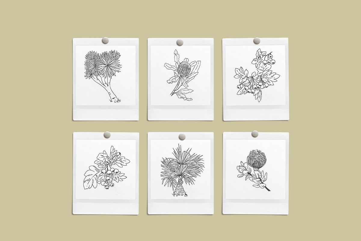 Botanical Sketch Vector Illustration, a Decorative Illustration by Emma Webb Studio (Photo 5 of 7)