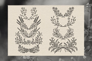 Floral Line Art Collection, a Decorative Illustration by heyXeni (Thumbnail 8 of 12)
