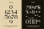 Regani - Modern Serif Typeface, a Serif Font by NexaLine (Thumbnail 10 of 10)