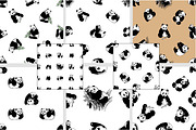 Panda, an Animal Illustration by Ecaterina Sciuchina (Thumbnail 5 of 6)