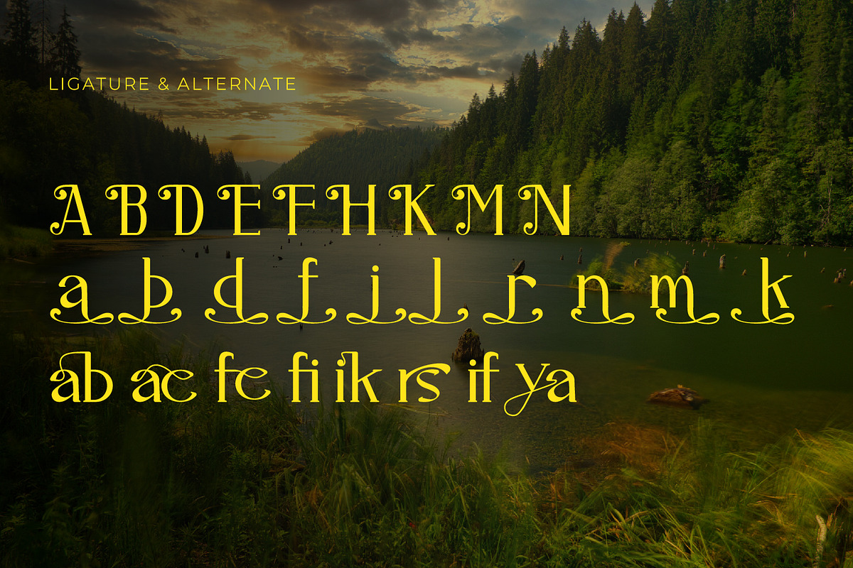 Airiya Mack - Serif Typeface Font, a Serif Font by Rishsketch (Photo 14 of 15)