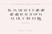 Arroem - Serif Display Font, a Serif Font by Vesvocrea (Thumbnail 10 of 15)