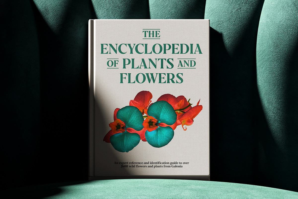 Galonia Type, a Serif Font by Dopestype (Photo 7 of 13)