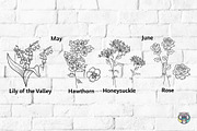 Birth Month Flowers Svg Bundle, an Object Graphic by HeyLenaArts (Thumbnail 4 of 9)
