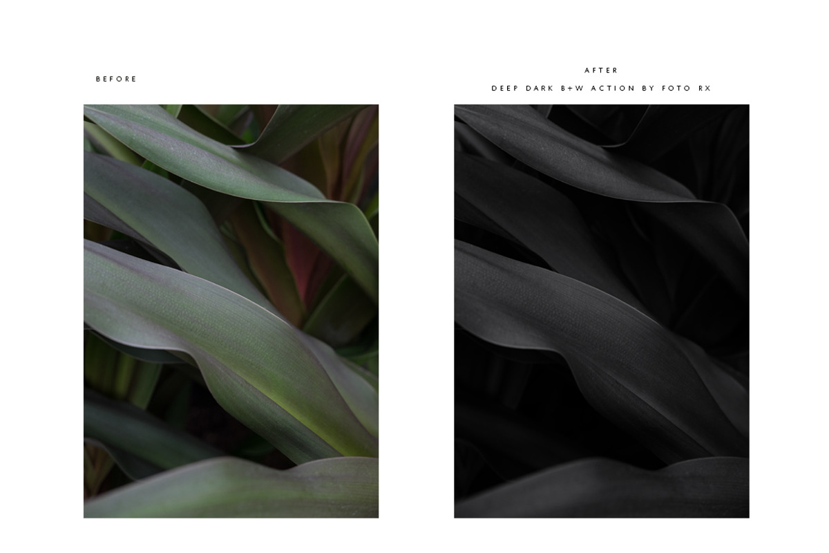 FINE ART BLACK + WHITE PS ACTIONS, an Action Add-On by Foto Rx Co. (Photo 10 of 14)