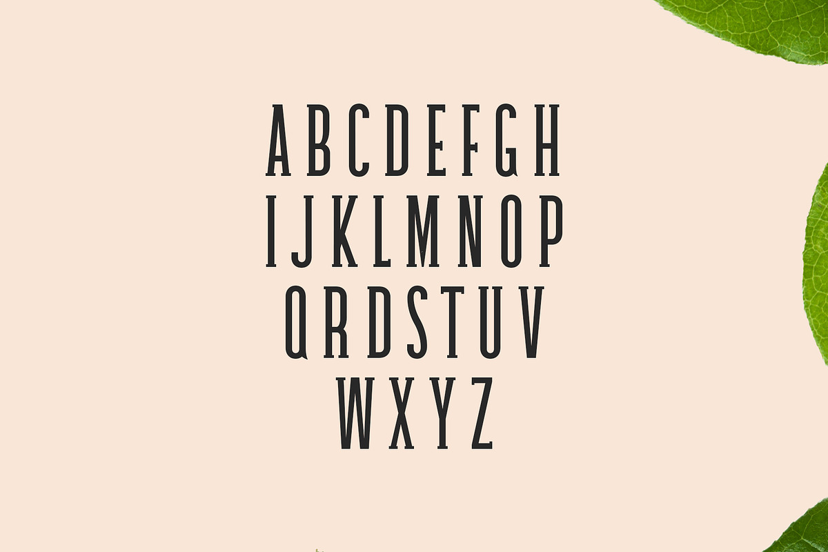 Galvin Slab Serif Font Family Pack preview 3