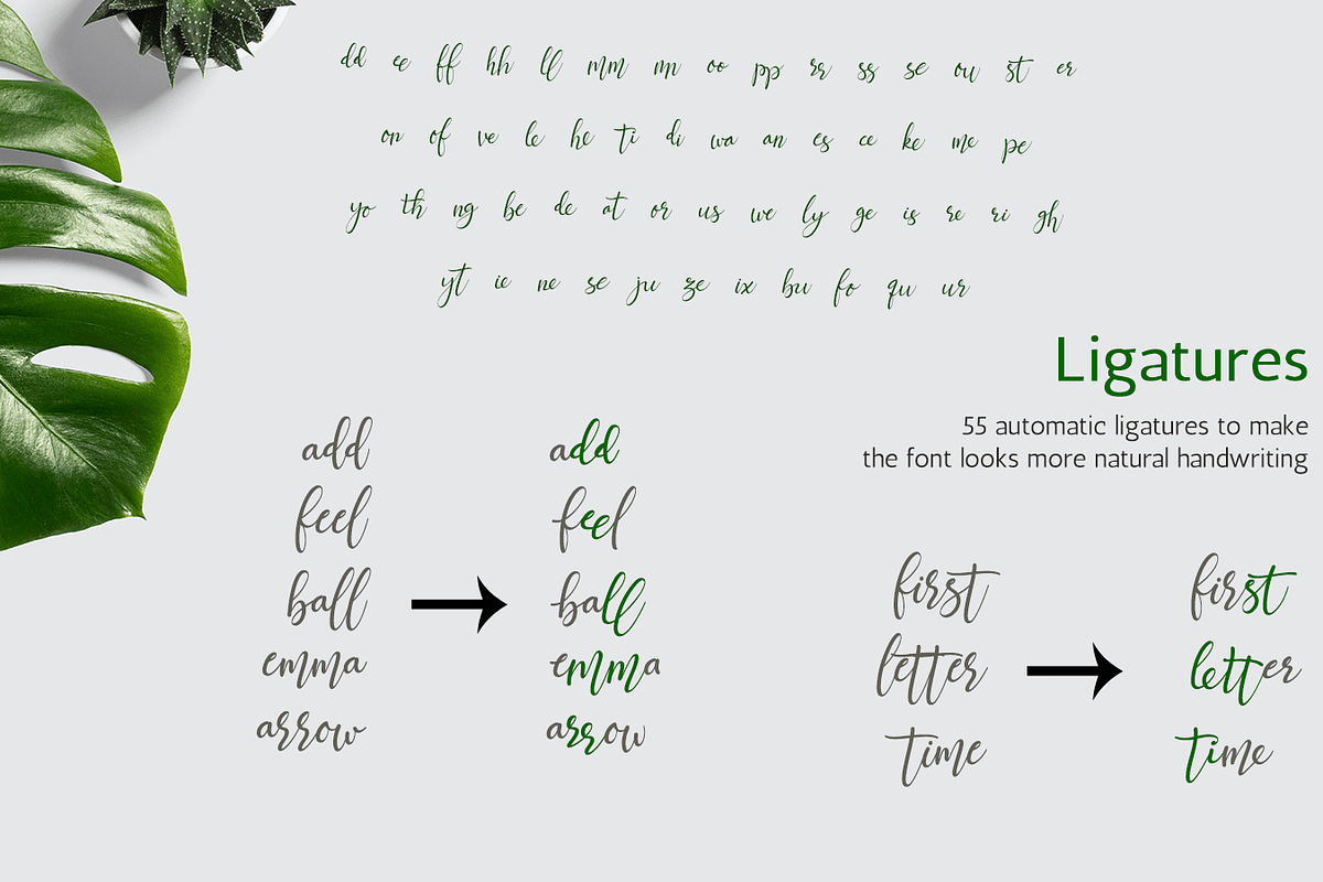 Jettiares Script Font, a Script Font by Letterhanna Studio (Photo 13 of 15)