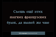 Castemire - Serif Typeface, a Serif Font by alpercakici (Thumbnail 12 of 13)