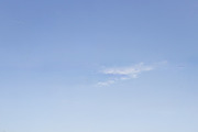 Blue Skies for sky replacement, a Background Photo by Liz Mitchell Photography (Thumbnail 4 of 12)