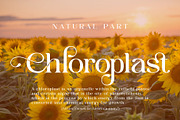 Astgina | An Elegant Display Serif, a Serif Font by Andrimada Creative (Thumbnail 3 of 13)