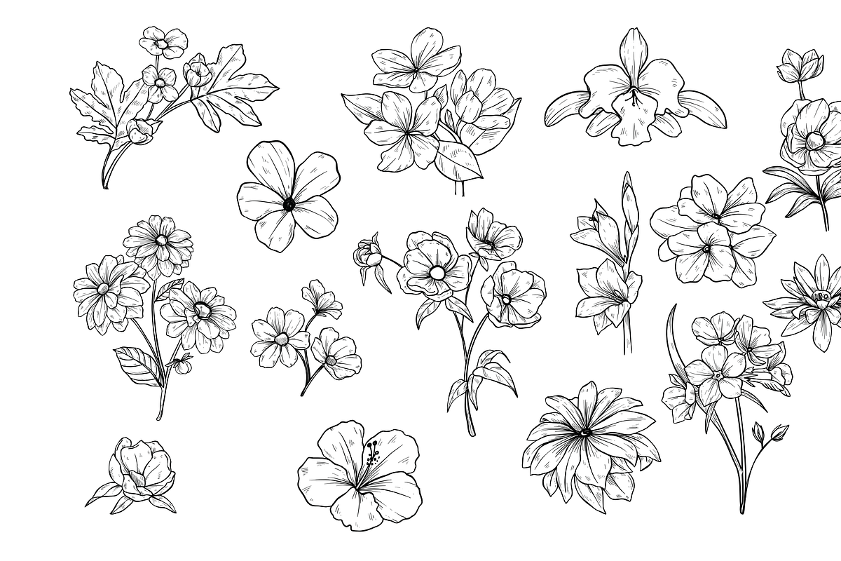 type of flowers handdrawn collection, an Object Graphic by nikagraphic