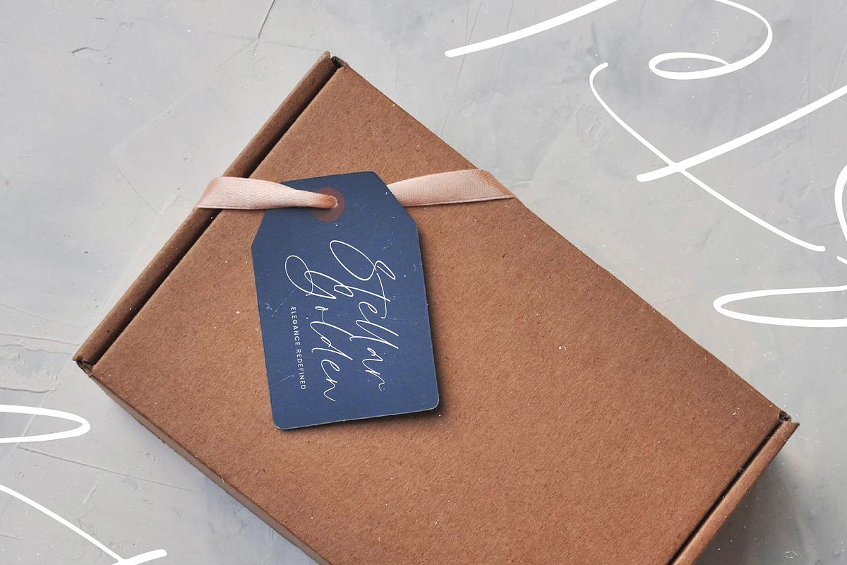 Glistening Silent Modern Stylish, a Script Font by Letterena Studios Script (Photo 5 of 15)