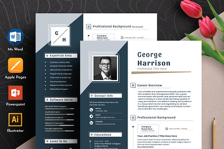 Resume Cv Template Word Apple Pages