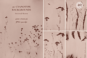 CYANOTYPE Botanical Backgrounds, a Background Graphic by Alisovna (Thumbnail 12 of 15)