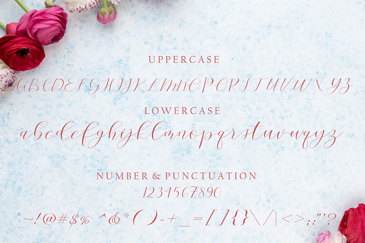 Cherry Blossom, a Script Font by Funtype (Photo 8 of 9)