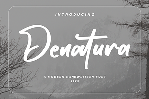 Denatura - Bold Script Font