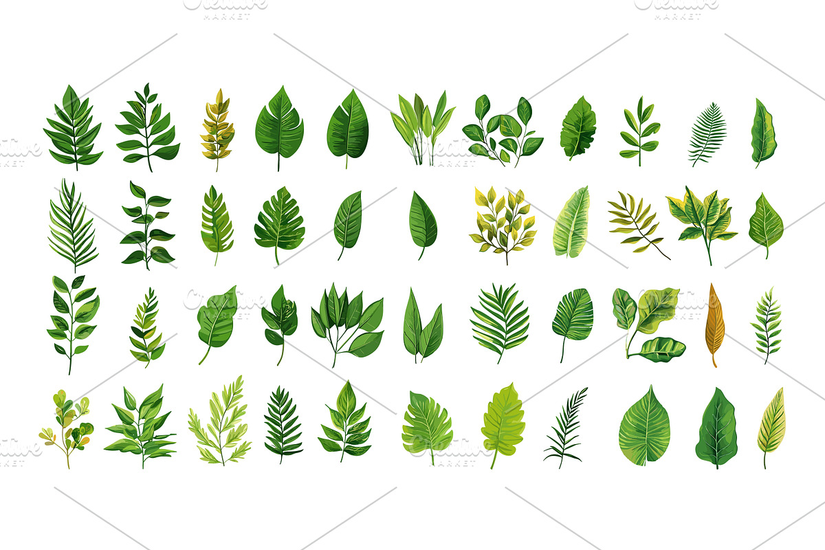 Different leafs cartoon vector set, an Object Illustration by Stock-Smart-Start