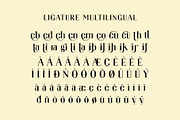 Bragita Ligature Serif Typeface, a Serif Font by Humaira_std (Thumbnail 8 of 9)
