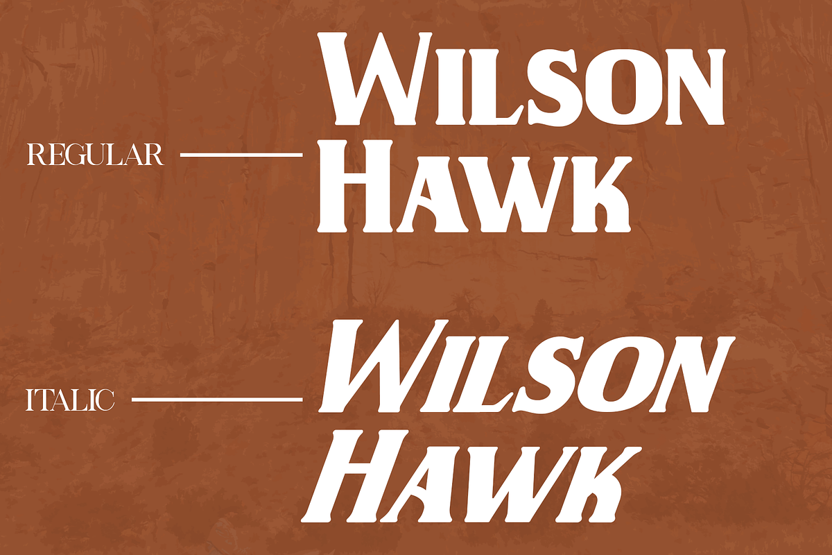 Wilson Hawk - Modern Serif Typeface, a Serif Font by overlaytemplates (Photo 2 of 6)