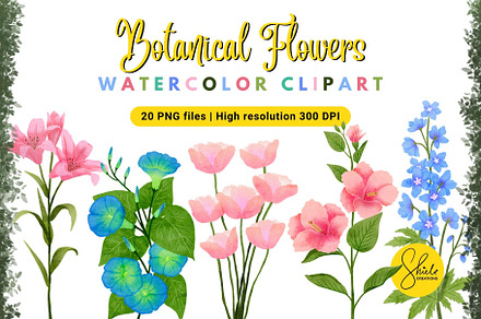 Botanical Flowers Watercolor Clipart