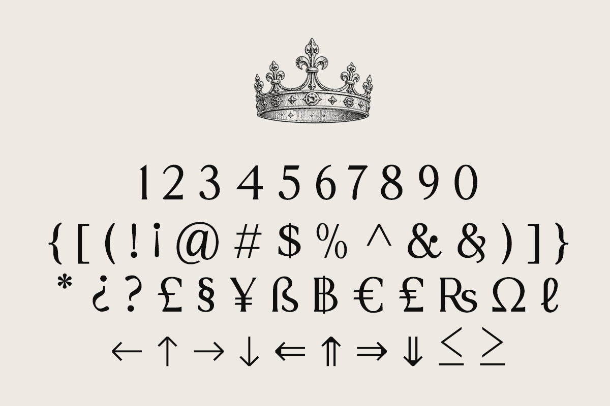 Sonne | 12 Fonts, a Serif Font by Skinny Type (Photo 11 of 11)