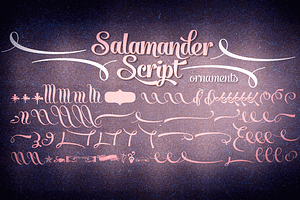 Salamander Script