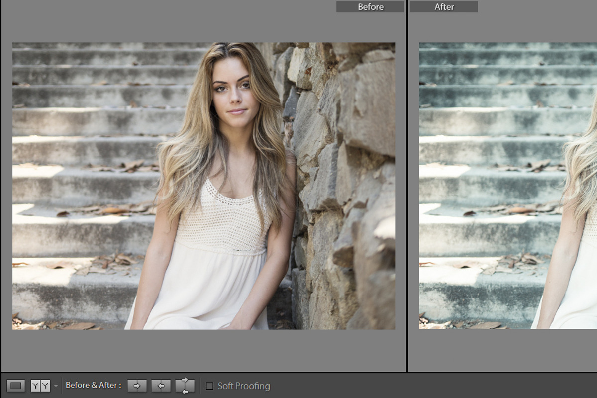 Cinematic Lightroom Preset By Cmsvec, a Plug-in Add-On by CMSvec (Photo 2 of 10)
