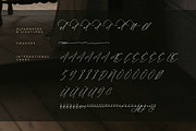 Victoria Cordeline A Modern Font, a Script Font by Storytype Studio (Thumbnail 14 of 15)