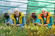Steal Film Cinematic LR Presets, a Preset Add-On by AAA Presets (Thumbnail 3 of 22)
