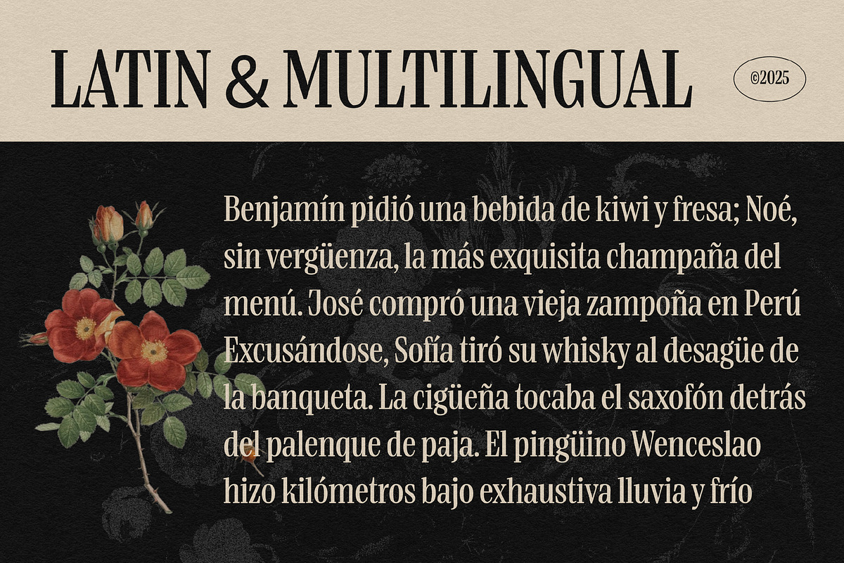 Boldentia, a Serif Font by graphicook (Photo 5 of 10)