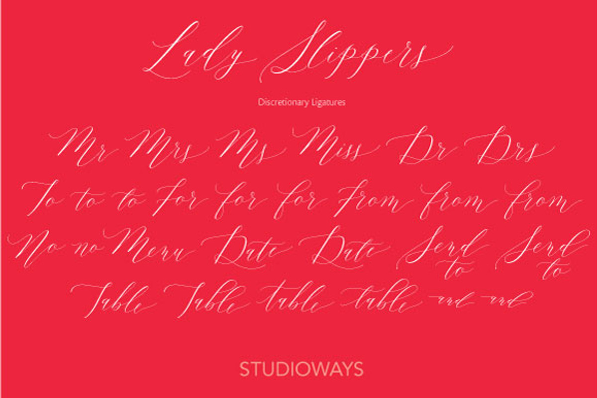 Lady Slippers, a Script Font by STUDIOWAYS (Photo 11 of 11)