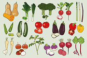 Seasonal Vegetables in high detail, a Food Illustration by Goodputty (Thumbnail 1 of 3)