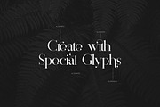 Silver Queen - Serif Typeface, a Serif Font by VP Fonts (Thumbnail 3 of 12)