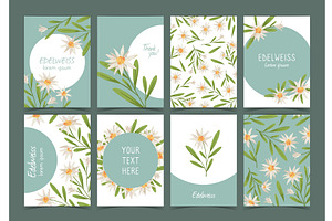 Edelweiss cards. Beautiful gentle, an Object Illustration by YummyBuum